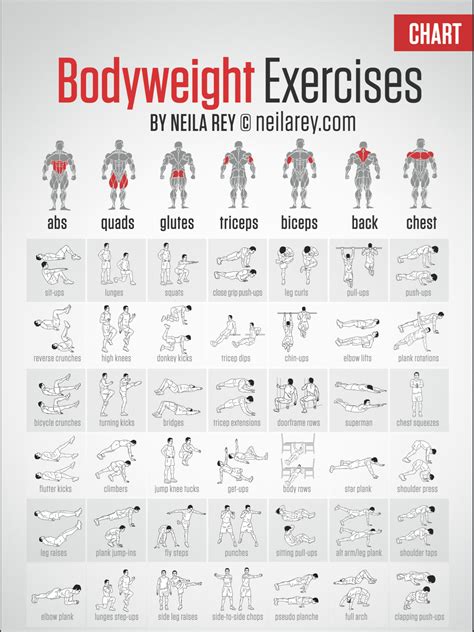 strength training bdo|free weight training workouts.